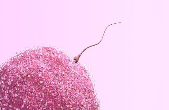 Azoospermia Treatment in India: Causes, Diagnosis & Fertility Options