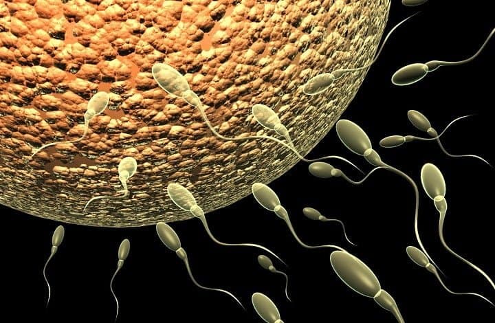 Ayurvedic Treatment for Nil Sperm Count and Male Infertility