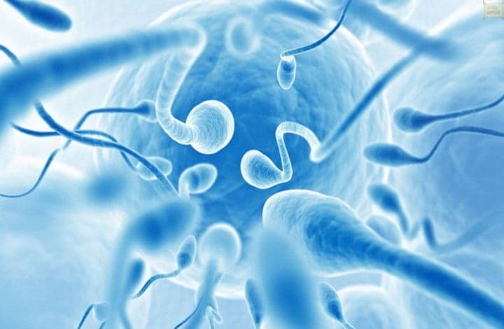 Treatment of Azoospermia In Nigeria