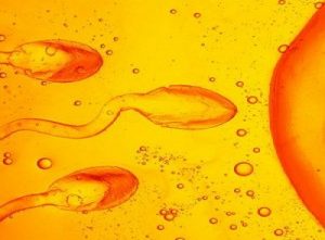 Azoospermia Treatment In Medical Astrology