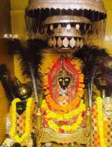 Baglamukhi or Pitambara Yagya