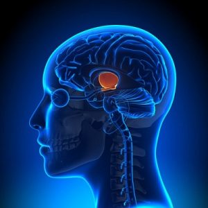 Brain tumor treatment in medical astrology
