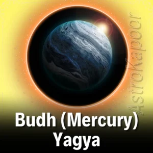 Budh (Mercury) Yagya Image