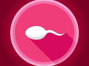 Cause of male infertility