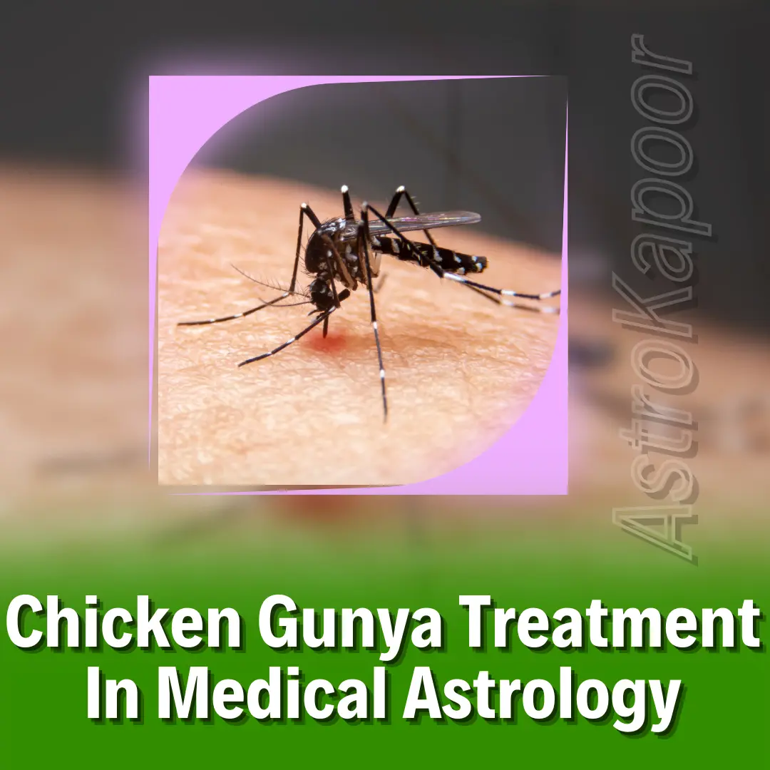 Chicken Gunya Treatment In Medical Astrology Image