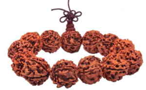 Healing the Planet with Rudraksha