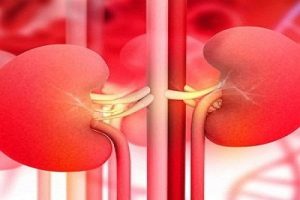 Kidney Treatment In Medical Astrology