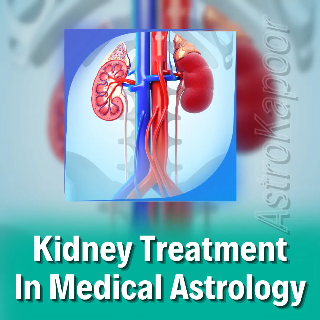 Kidney Treatment In Medical Astrology Image