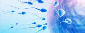 Male Infertility Treatment By Ayurveda