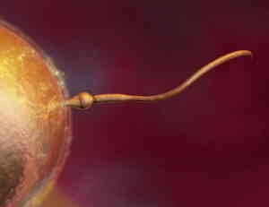 Male infertility treatment