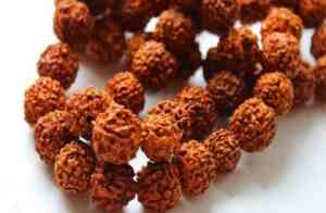 Rudraksha-Power-Combination