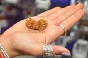 Rudraksha Therapy