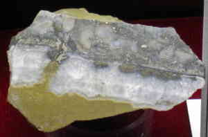 Top Benefits of Harlequin Quartz