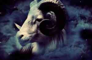 Top Eighth Things Not To Say To An Aries