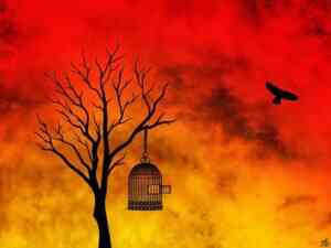 Yagya for freedom from Bondage