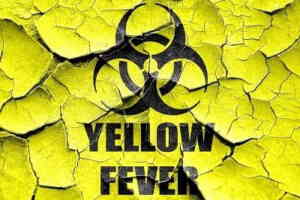 Yellow Fever Treatment In Medical Astrology & Ayurveda