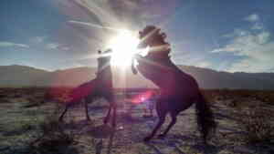 Ashwini Star and Its Mythology