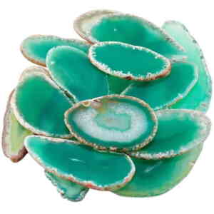 Jade and Its Significance