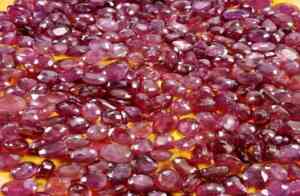 Sun In 12 Houses In the Birth Chart - Astrokapoor.com