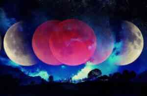 Venus Major Period and Its Astrological Effects on Horoscope