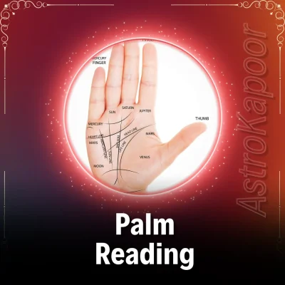 Palm Reading Image