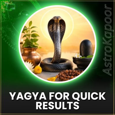 yagya for quick results (1).jpg (2)